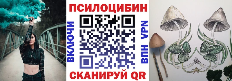Галлюциногенные грибы Cubensis  цена   Серов 
