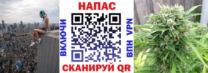 Канабис планчик  Серов 